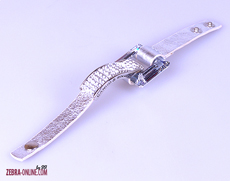 Гривна, KР 301 SR